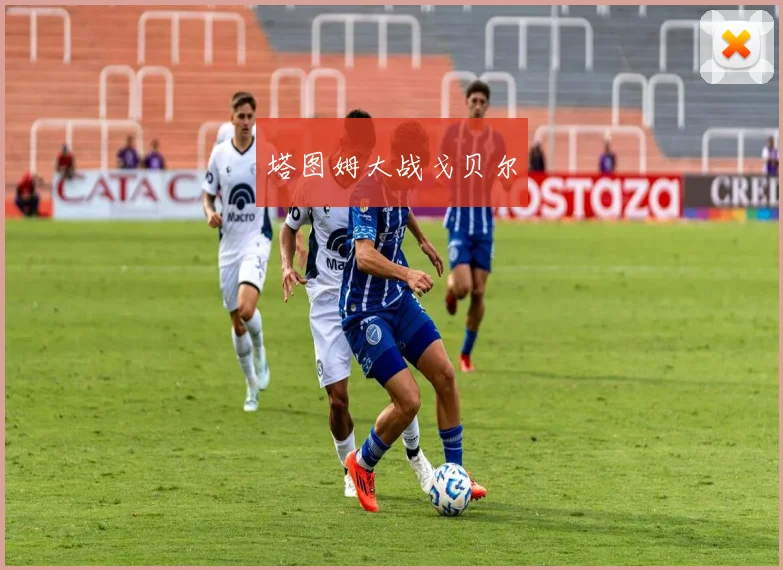 塔图姆大战戈贝尔