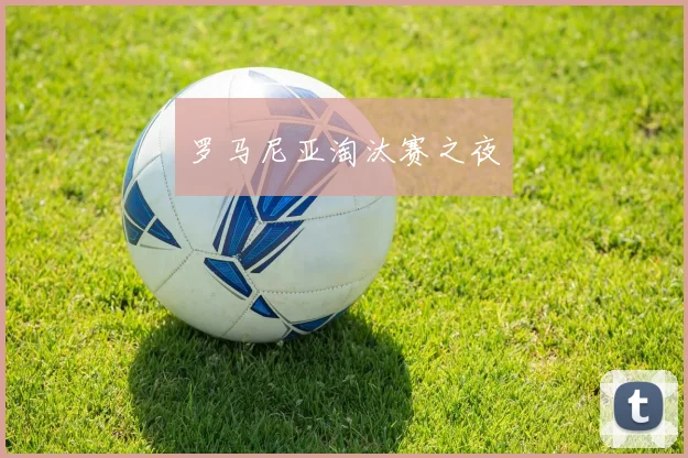 罗马尼亚淘汰赛之夜