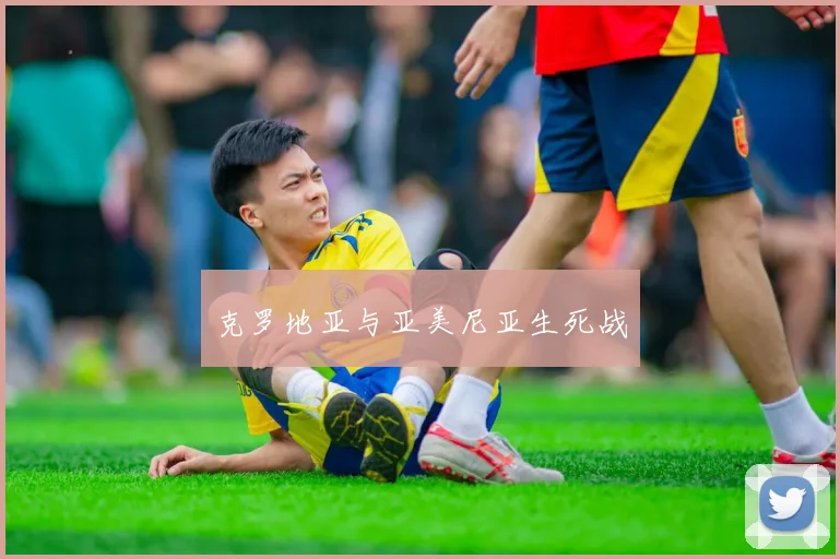 克罗地亚与亚美尼亚生死战