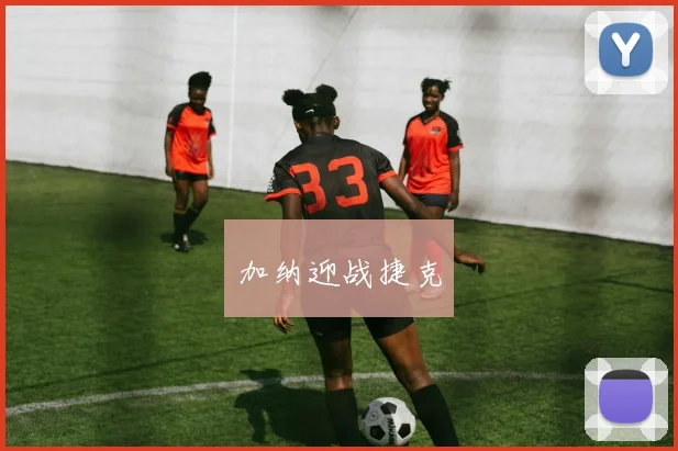加纳迎战捷克