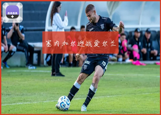 塞内加尔迎战爱尔兰