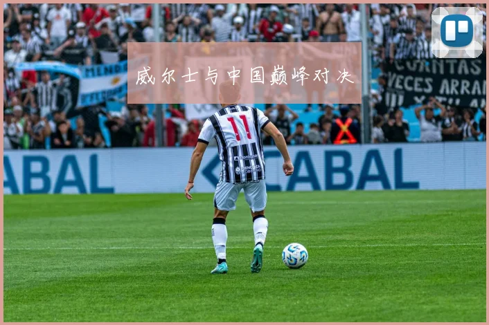 威尔士与中国巅峰对决